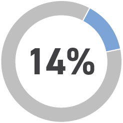 03 PRO013308_piechart_Components of 2024 CEO_Annual.jpg